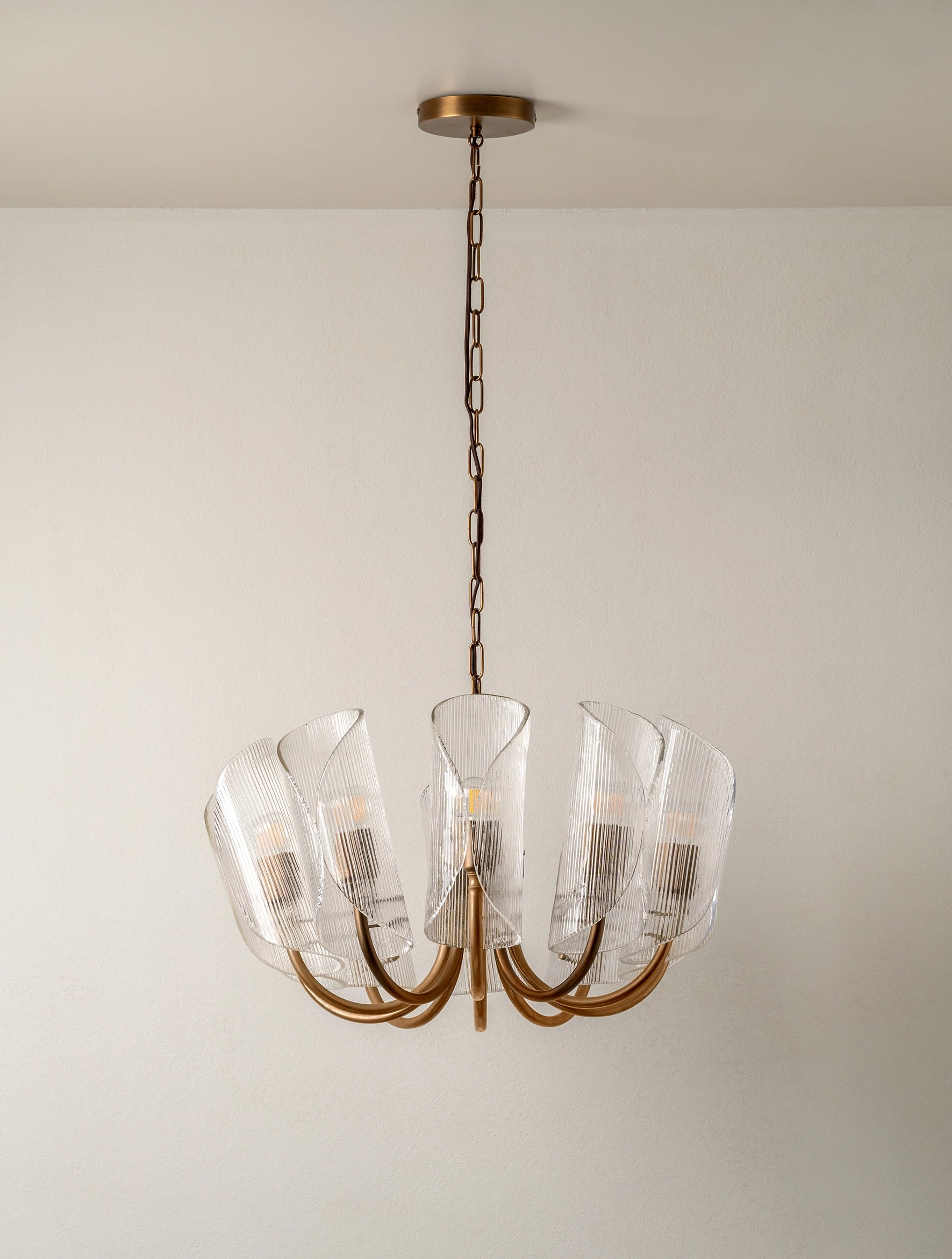 Cannoli - 10 light aged brass and textured glass chandelier | Chandelier | lights & lamps | US | Modern affordable designer lighting