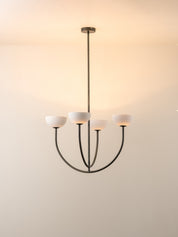 Ruzo - 4 light bronze ceiling pendant | Chandelier | Lights & Lamps Inc | Modern Affordable Designer Lighting | USA