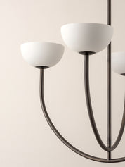 Ruzo - 4 light bronze ceiling pendant | Chandelier | Lights & Lamps Inc | Modern Affordable Designer Lighting | USA